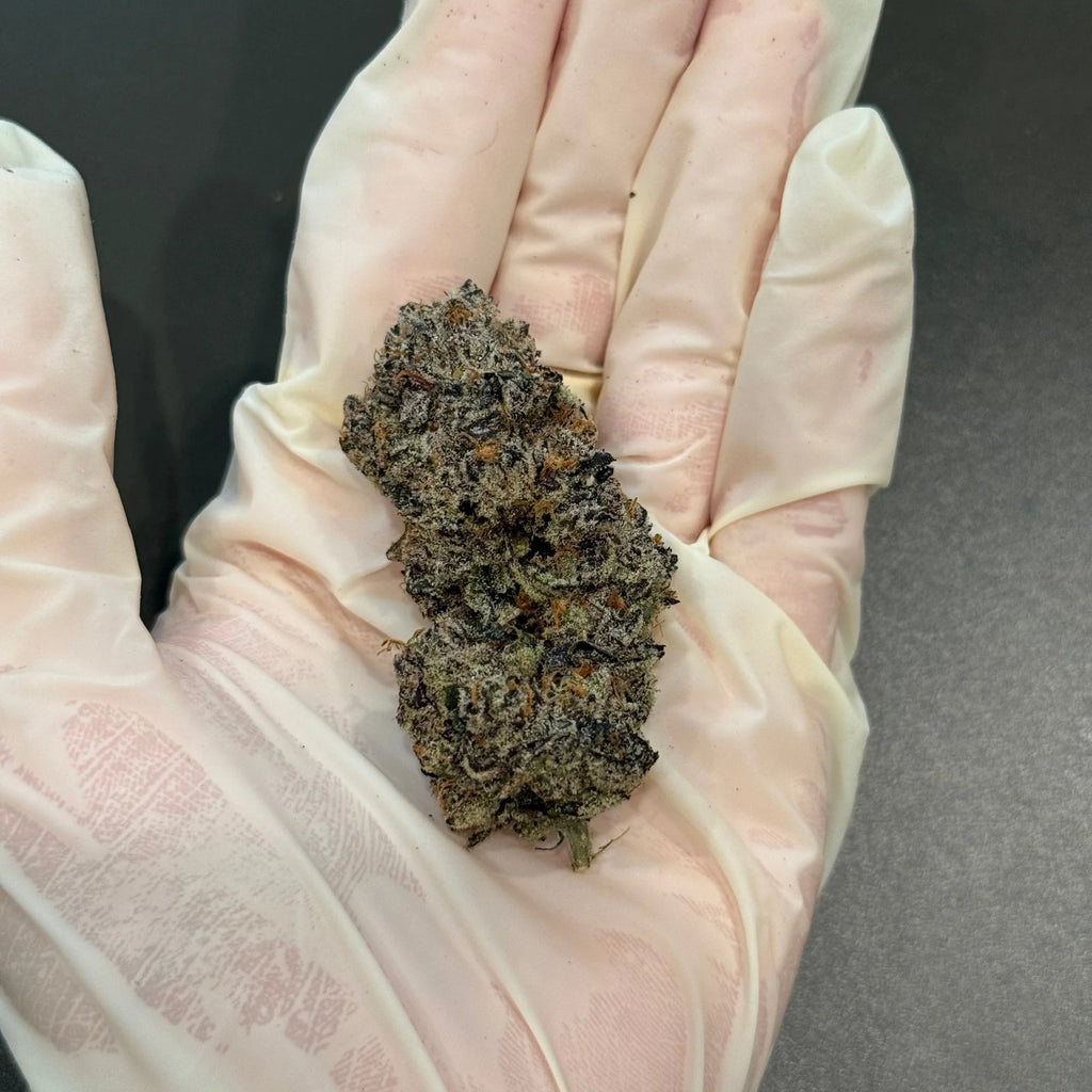 Supreme Lee Hi (Copy)