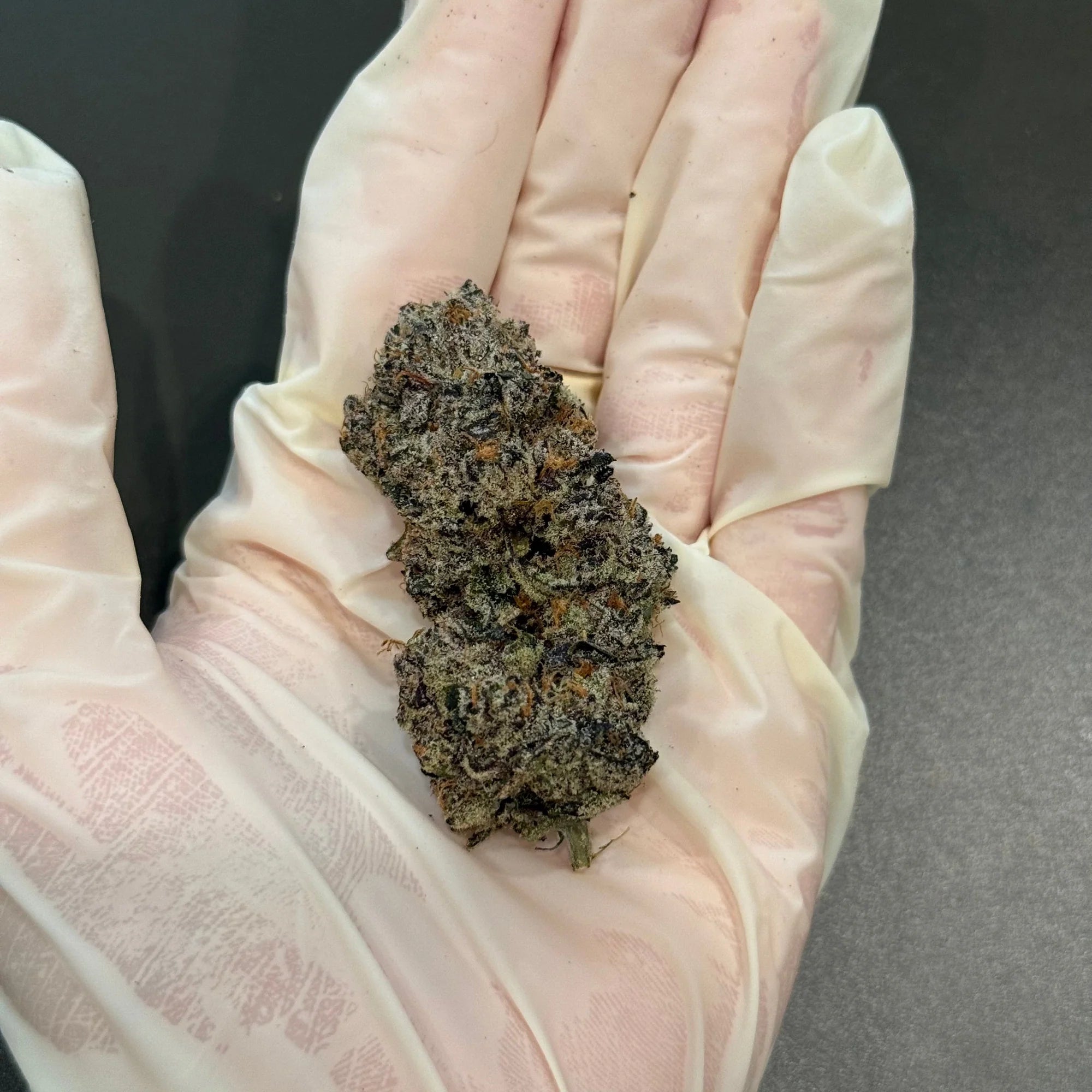 Supreme Lee Hi (Copy)