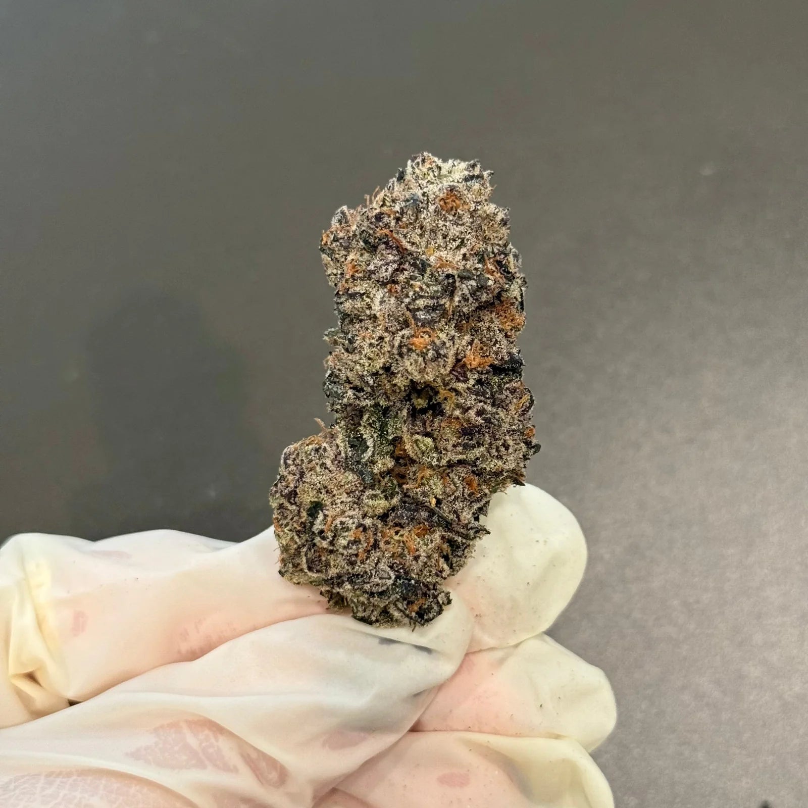 Supreme Lee Hi (Copy)